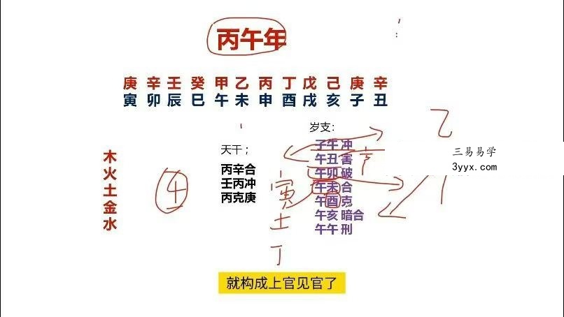 林炳坤 2026年运详解4集视频 资料图片