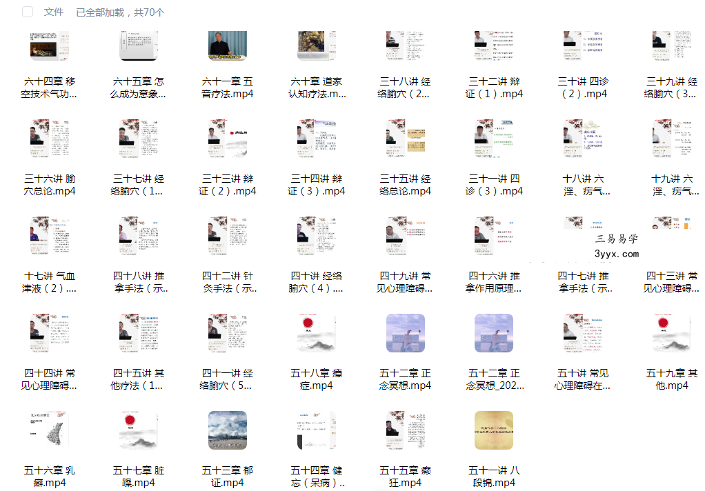 刘毕勇 中医心理系列精品视频（高级班）89集 资料图片