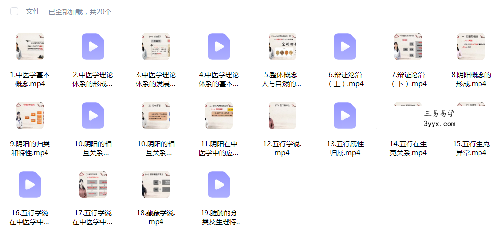 刘毕勇 中医心理系列精品视频（高级班）89集 资料图片