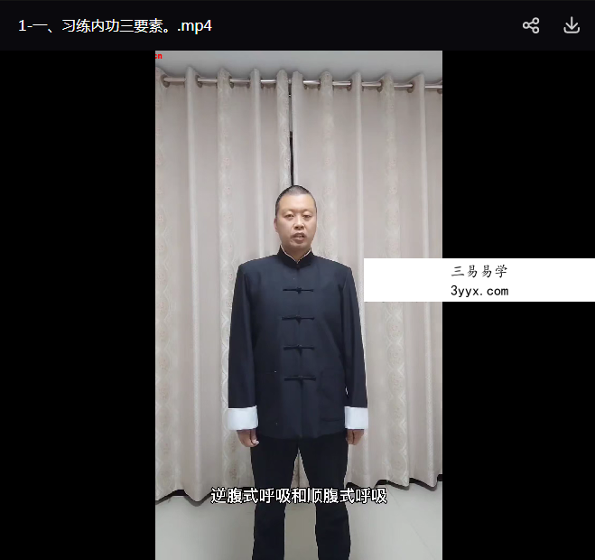 丹田内劲练习4集 资料图片