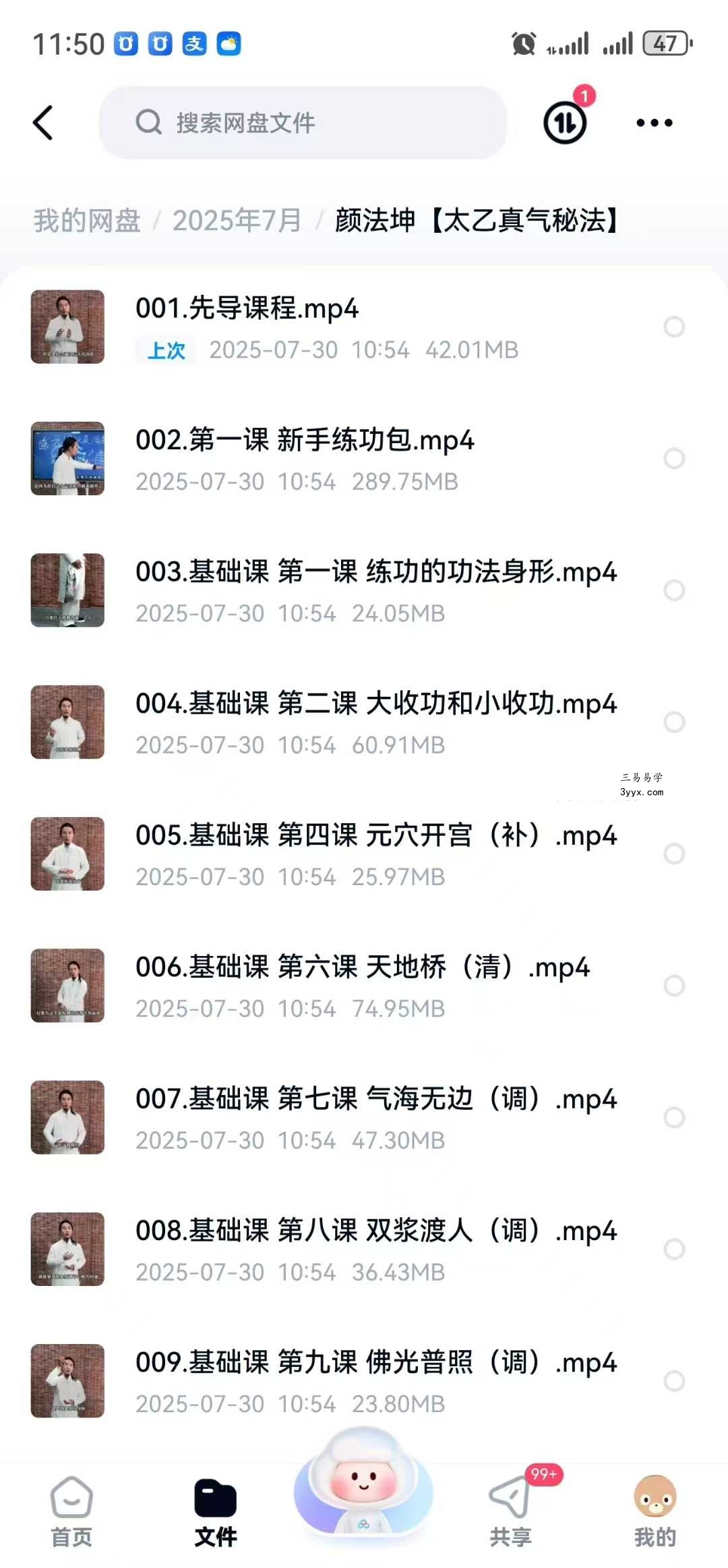颜法坤【太乙真气秘法】29集 资料图片