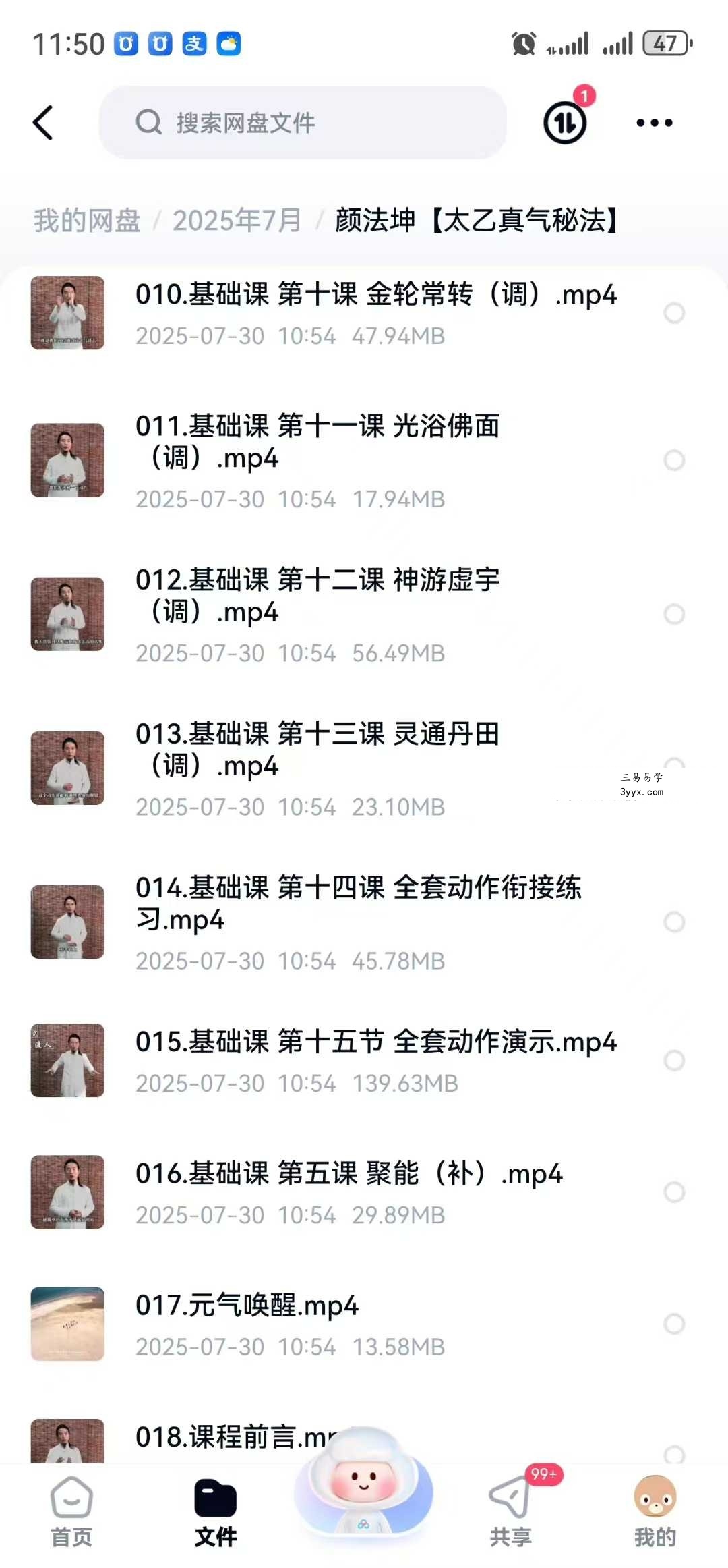 颜法坤【太乙真气秘法】29集 资料图片