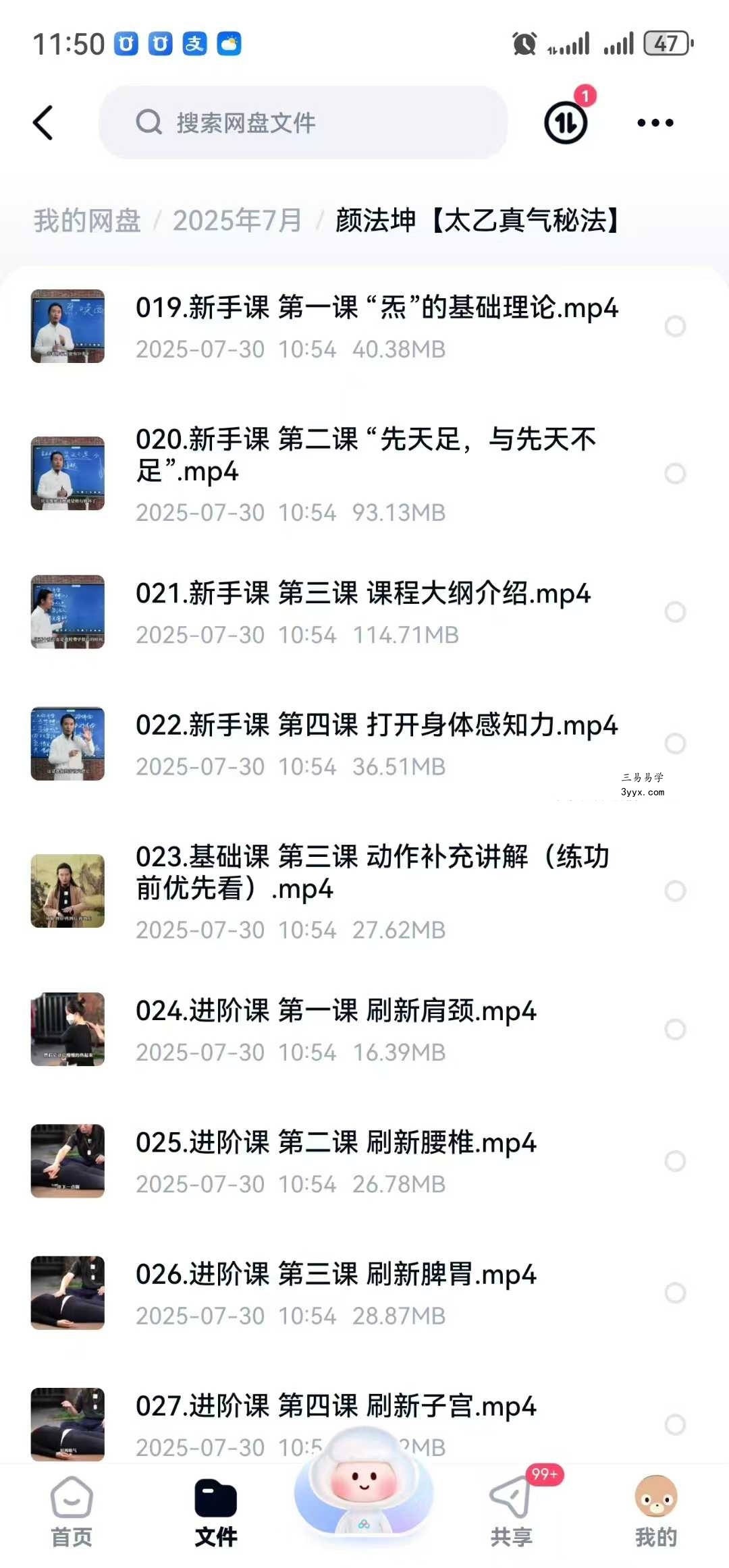颜法坤【太乙真气秘法】29集 资料图片