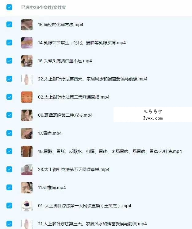 王英杰 太上御针疗法网课23集 资料图片