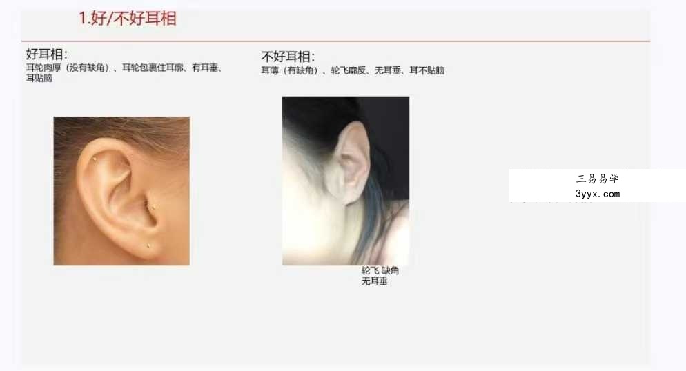《面相学细微对比图示》286页 资料图片