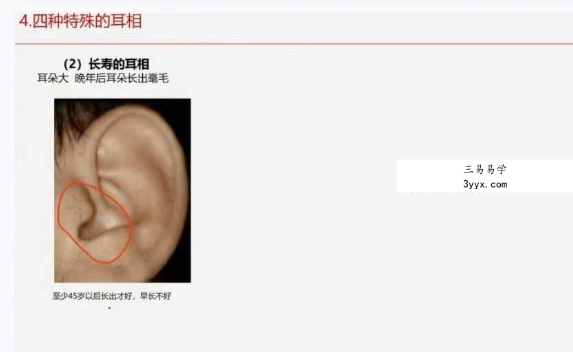 《面相学细微对比图示》286页 资料图片