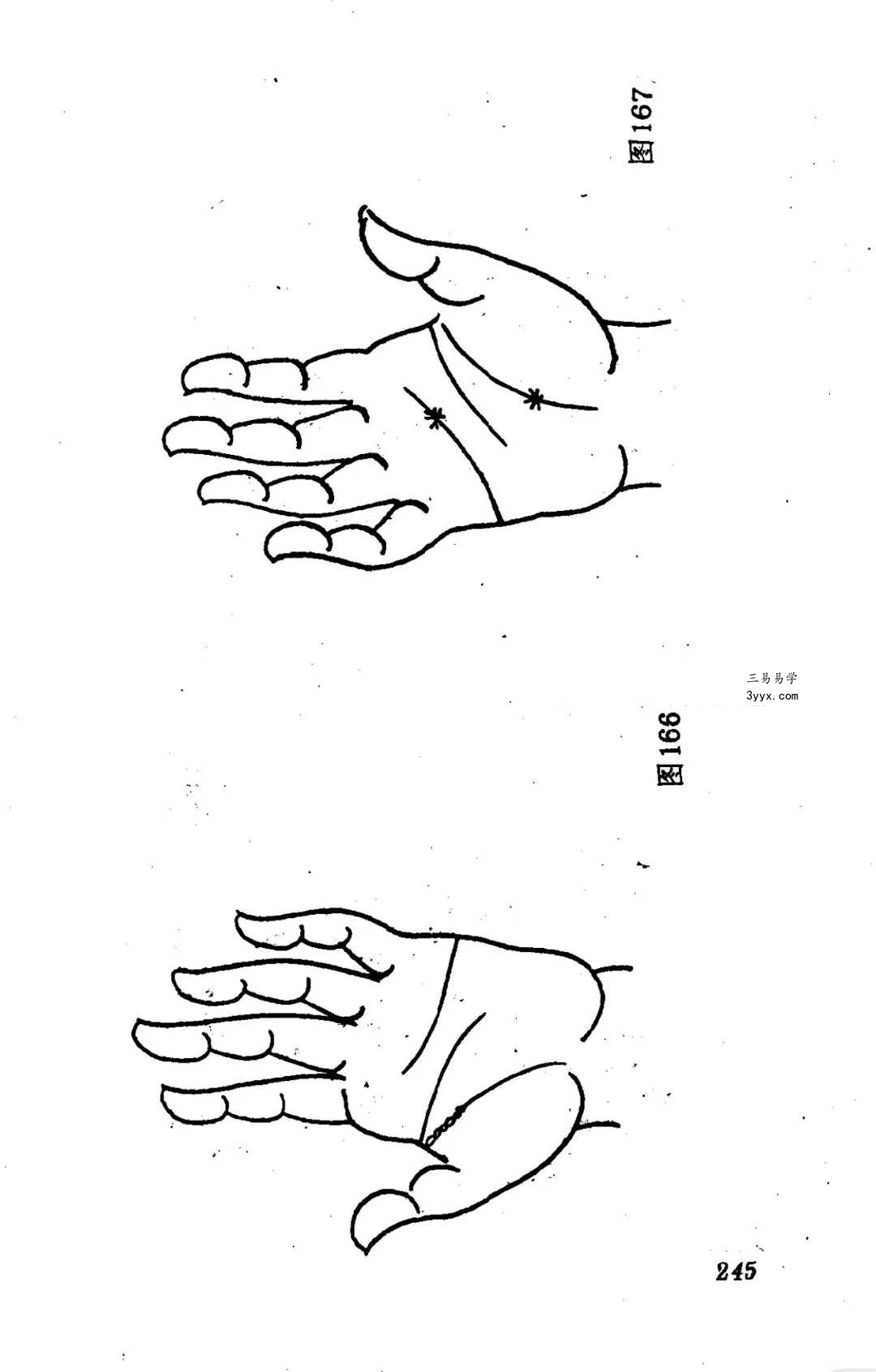 洪丕谟 张文《手相测病大全》274页 资料图片
