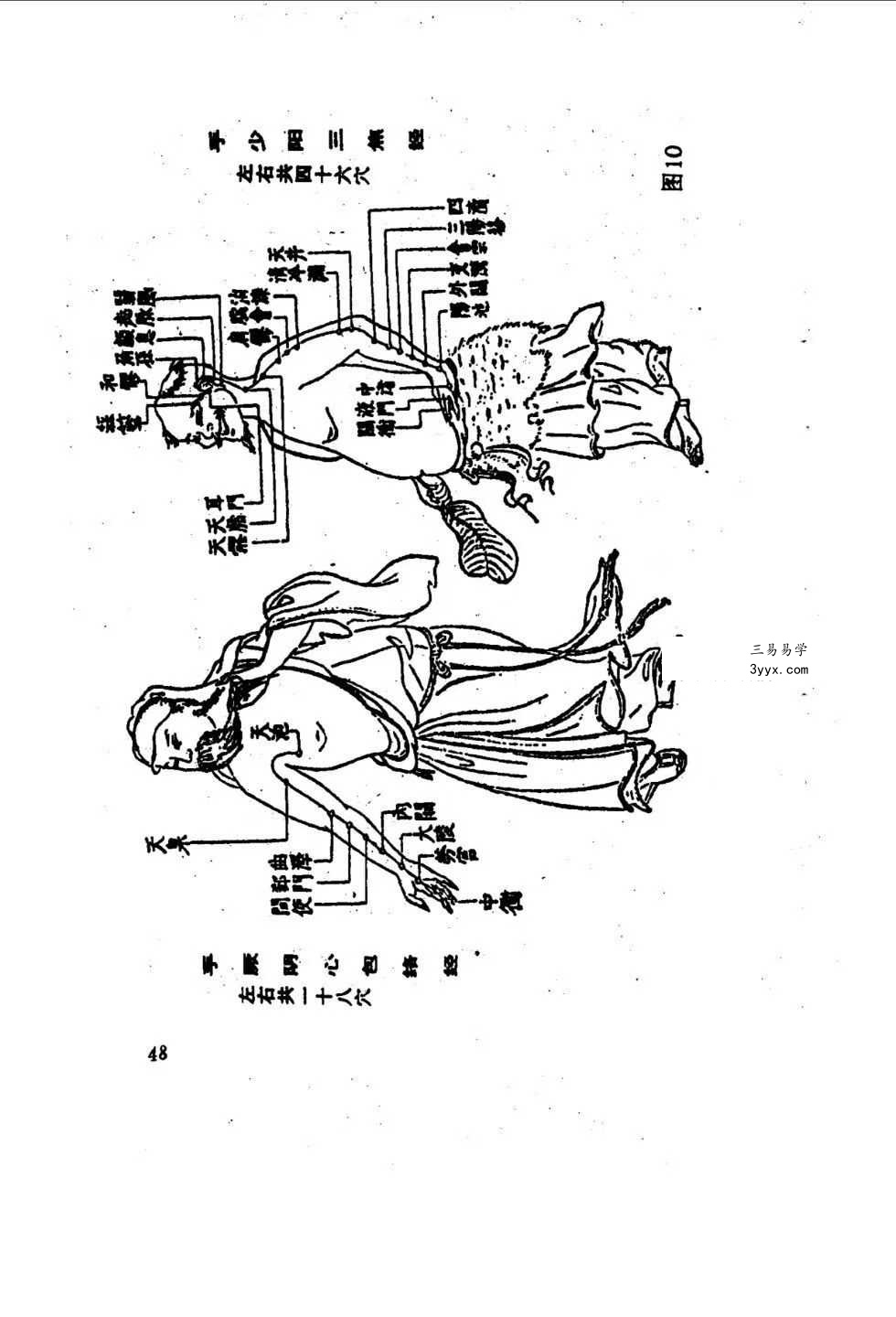 洪丕谟 张文《手相测病大全》274页 资料图片