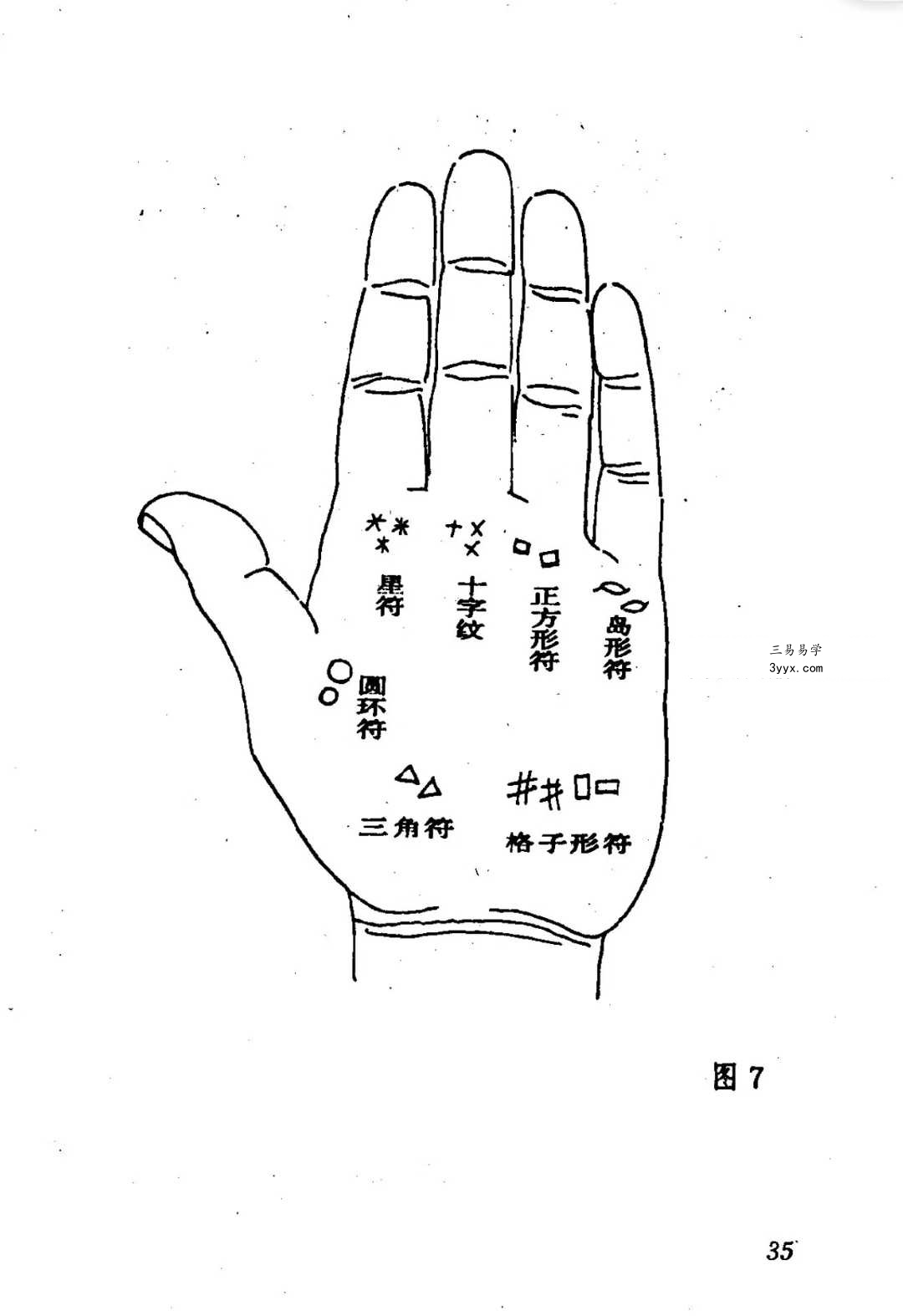 洪丕谟 张文《手相测病大全》274页 资料图片