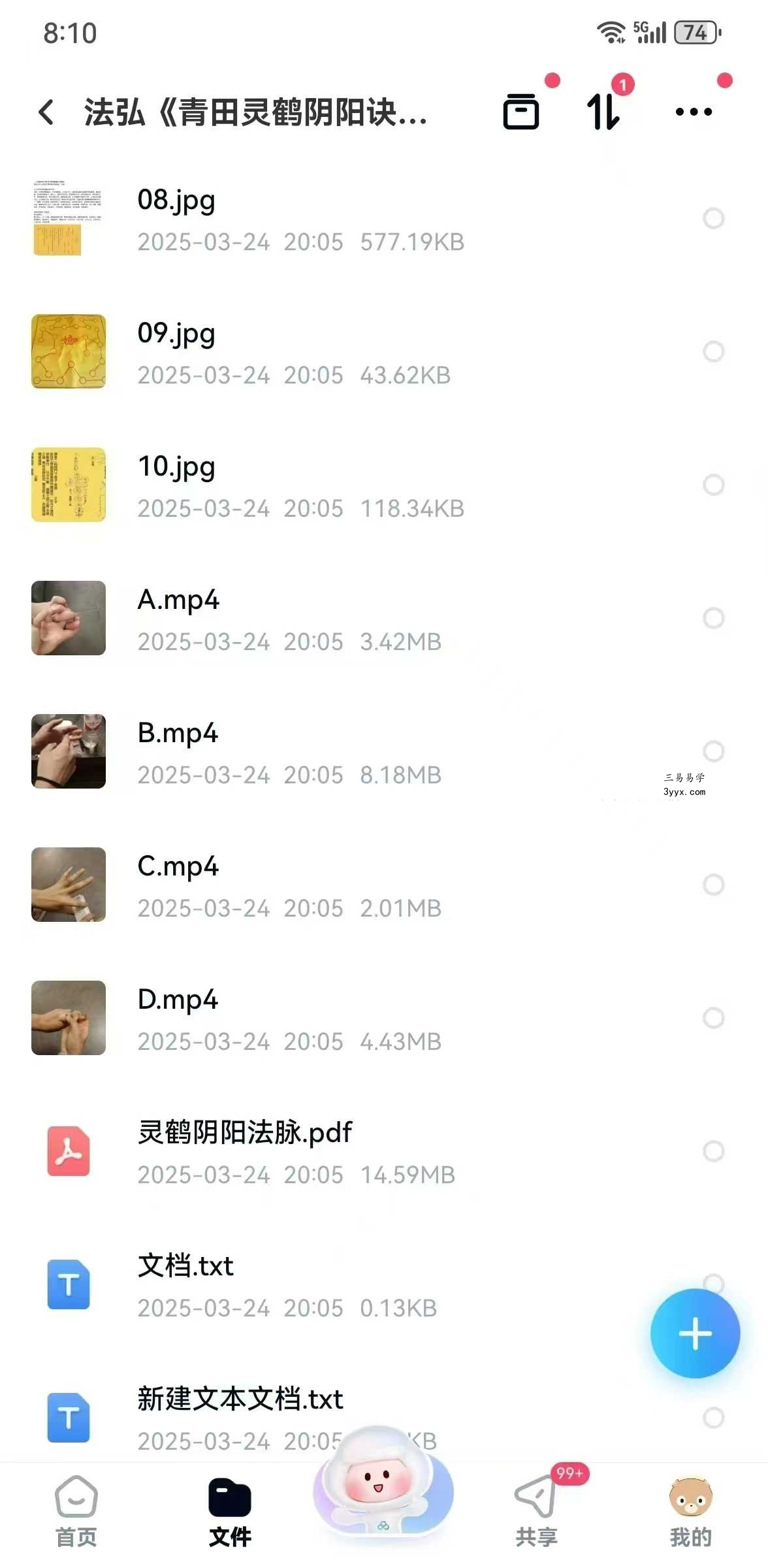 法弘《青田灵鹤阴阳诀》视频+文档 资料图片