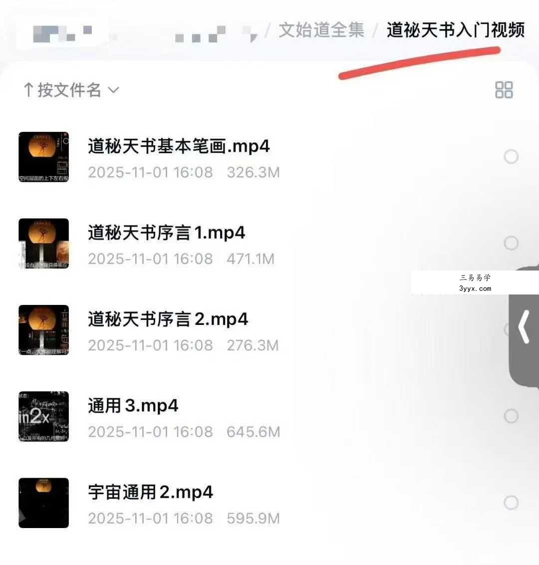 文始道全集11套合集 资料图片
