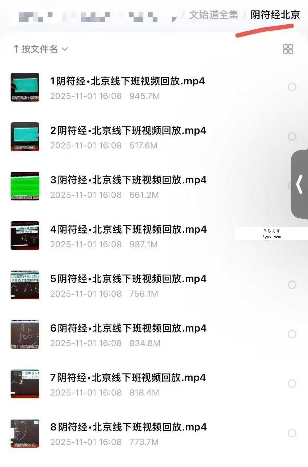 文始道全集11套合集 资料图片