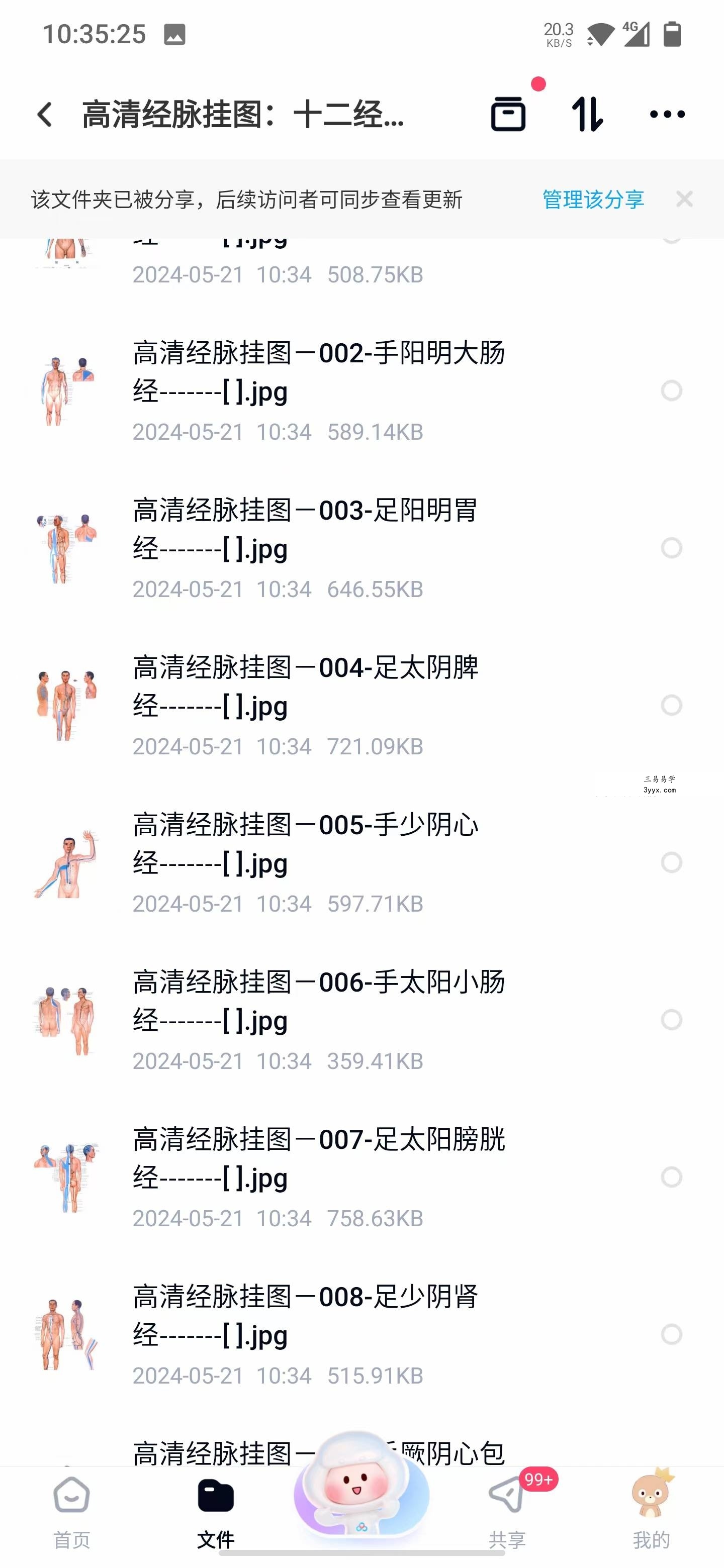 2015年王永斌双定点推拿正骨法 陕西民间绝技神仙一把抓视频教程 资料图片