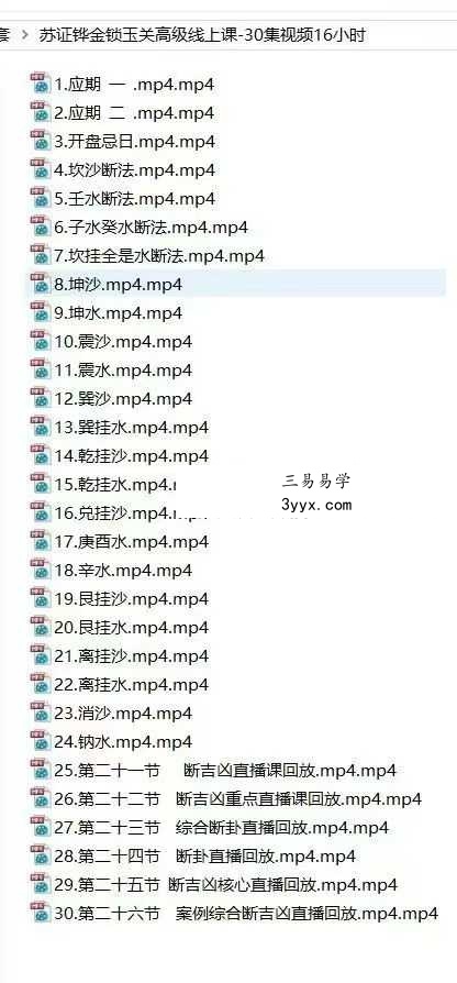 苏证铧《金锁玉关高级线上课》30集+《提高班线上理论课》65集视频 资料图片