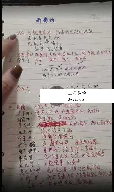 小凤仙一掌经30集+文档 资料图片