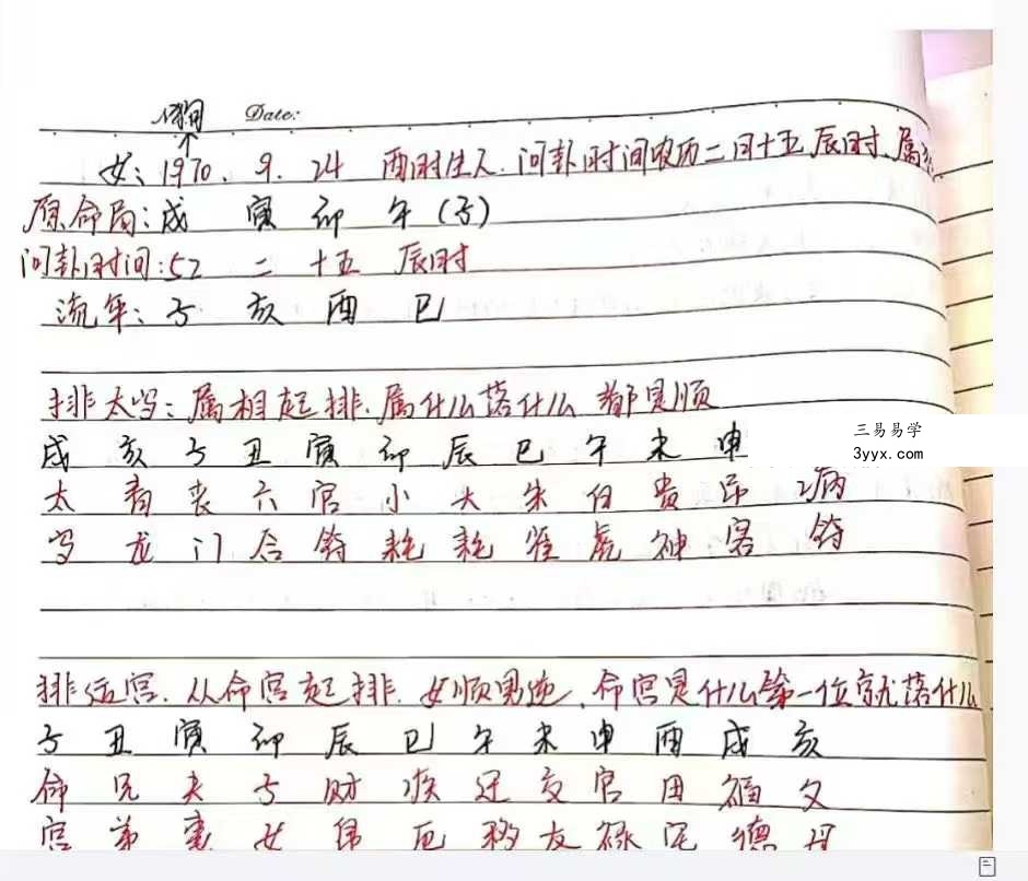 小凤仙一掌经30集+文档 资料图片