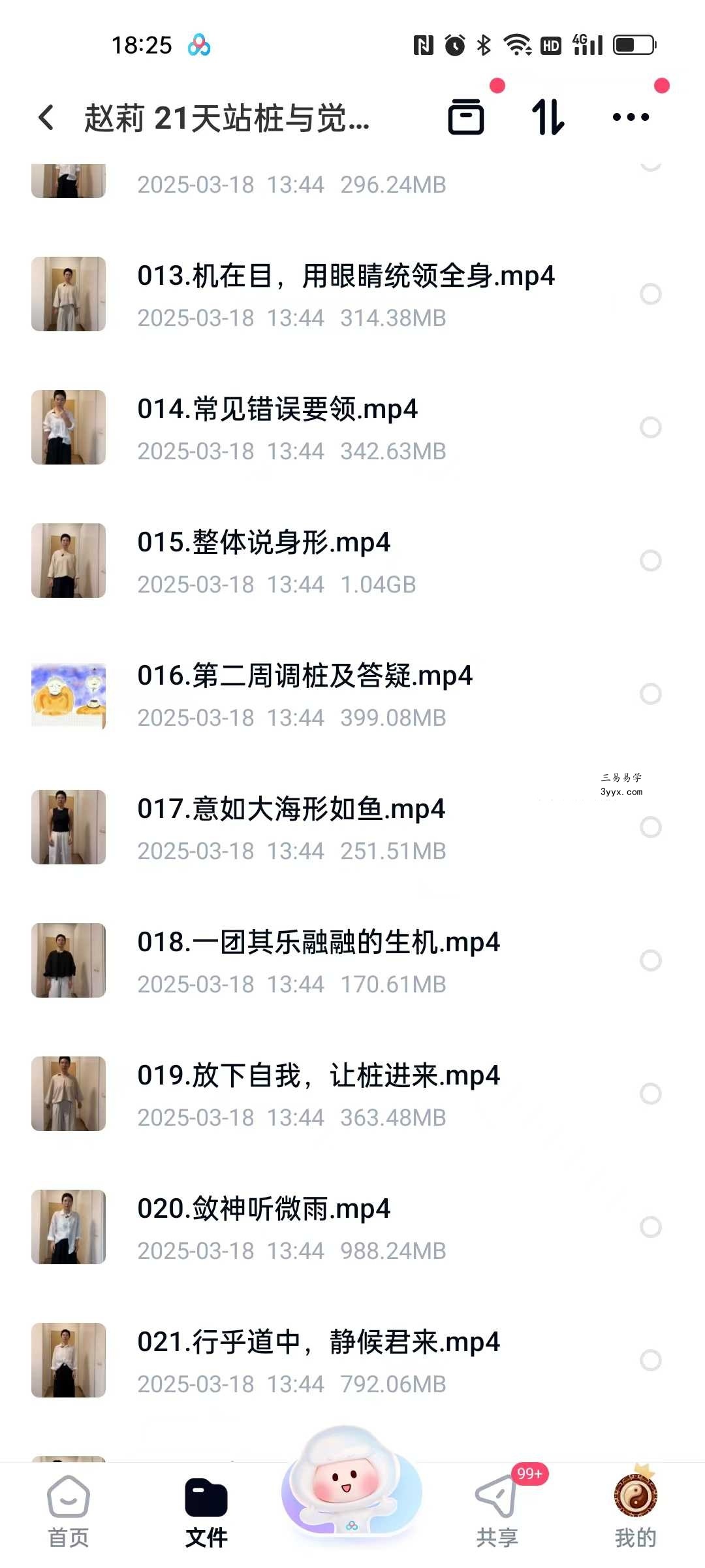 赵莉 21天站桩与觉知营23集 资料图片