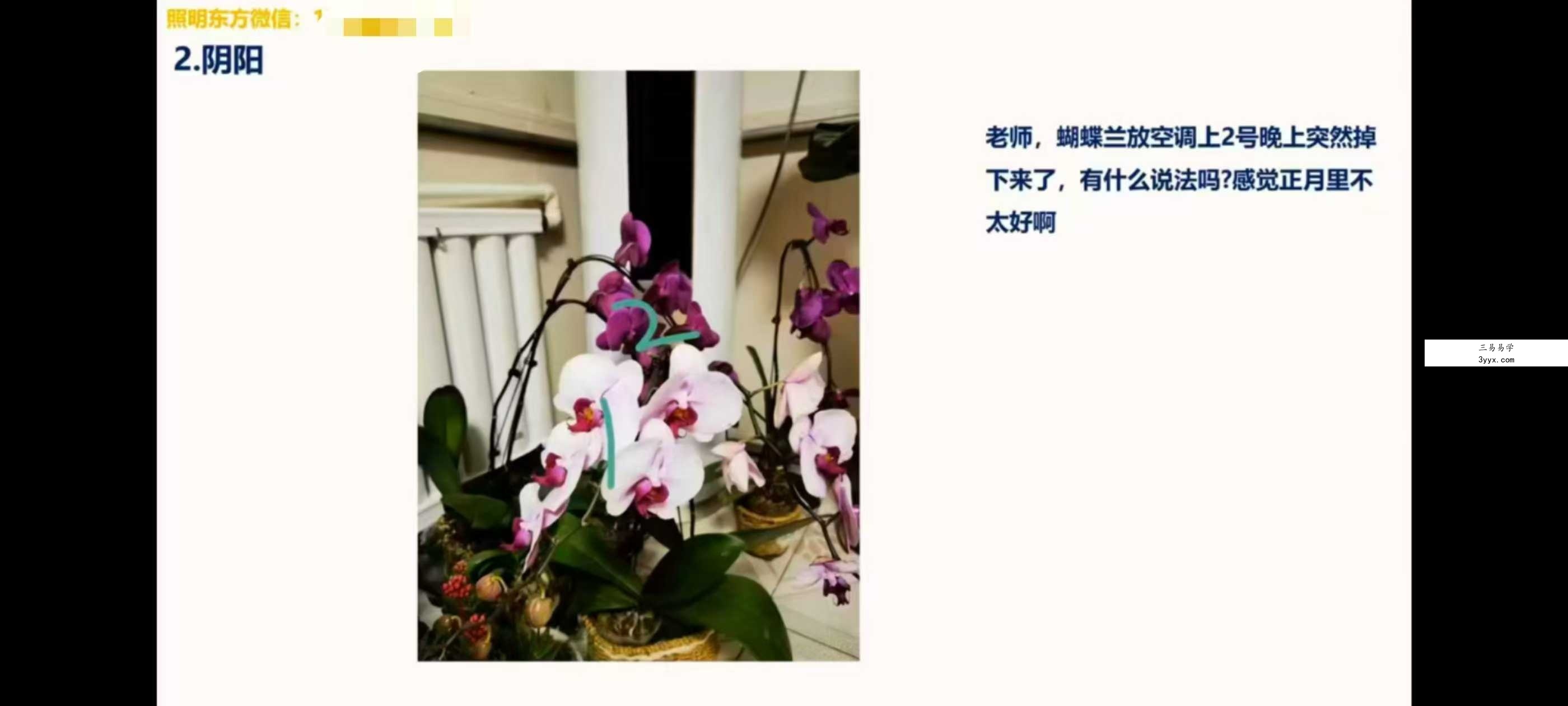 照明居士《外应学》初级班10集 资料图片