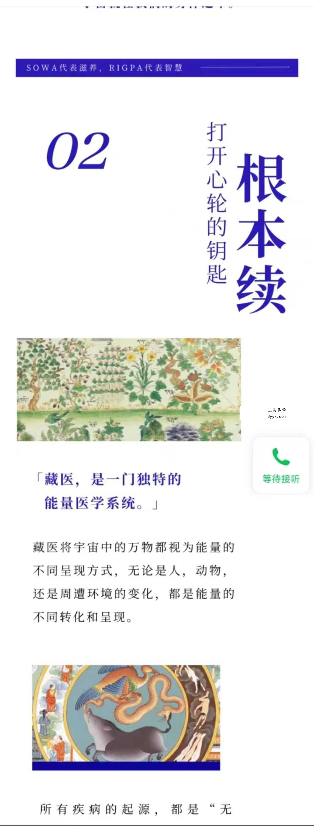 索瓦日巴Sowa Rigpa【藏医能量医学】50集 资料图片
