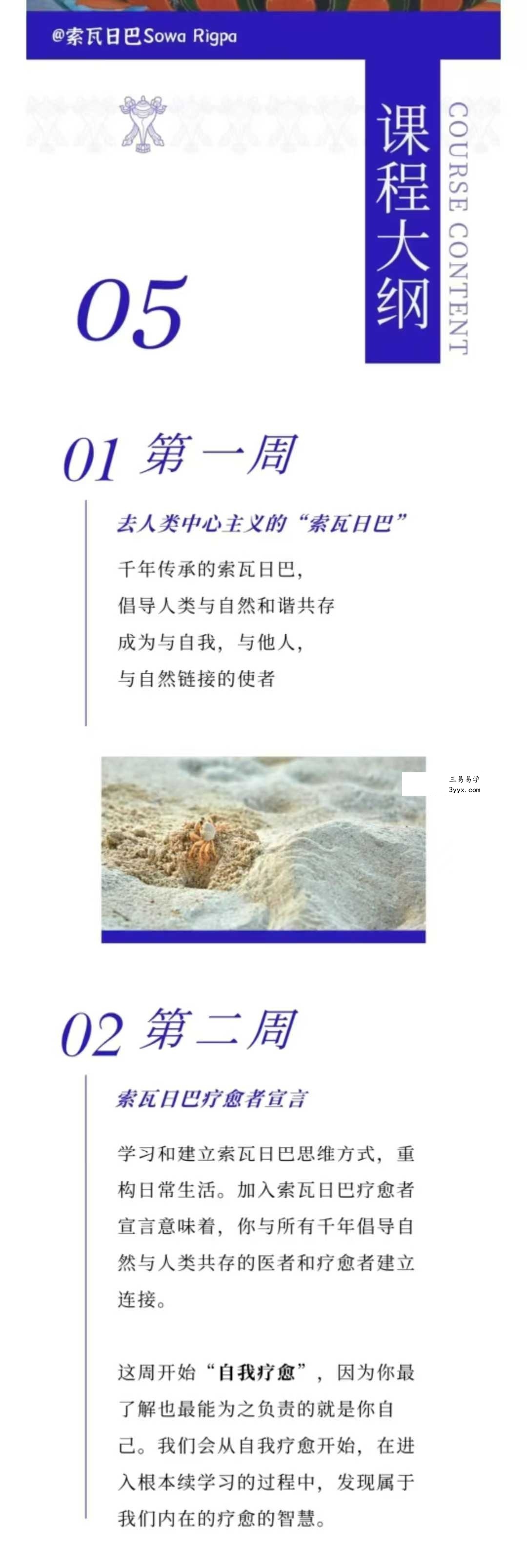 索瓦日巴Sowa Rigpa【藏医能量医学】50集 资料图片