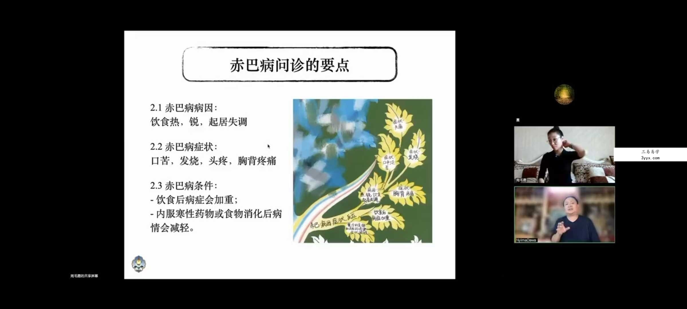 索瓦日巴Sowa Rigpa【藏医能量医学】50集 资料图片