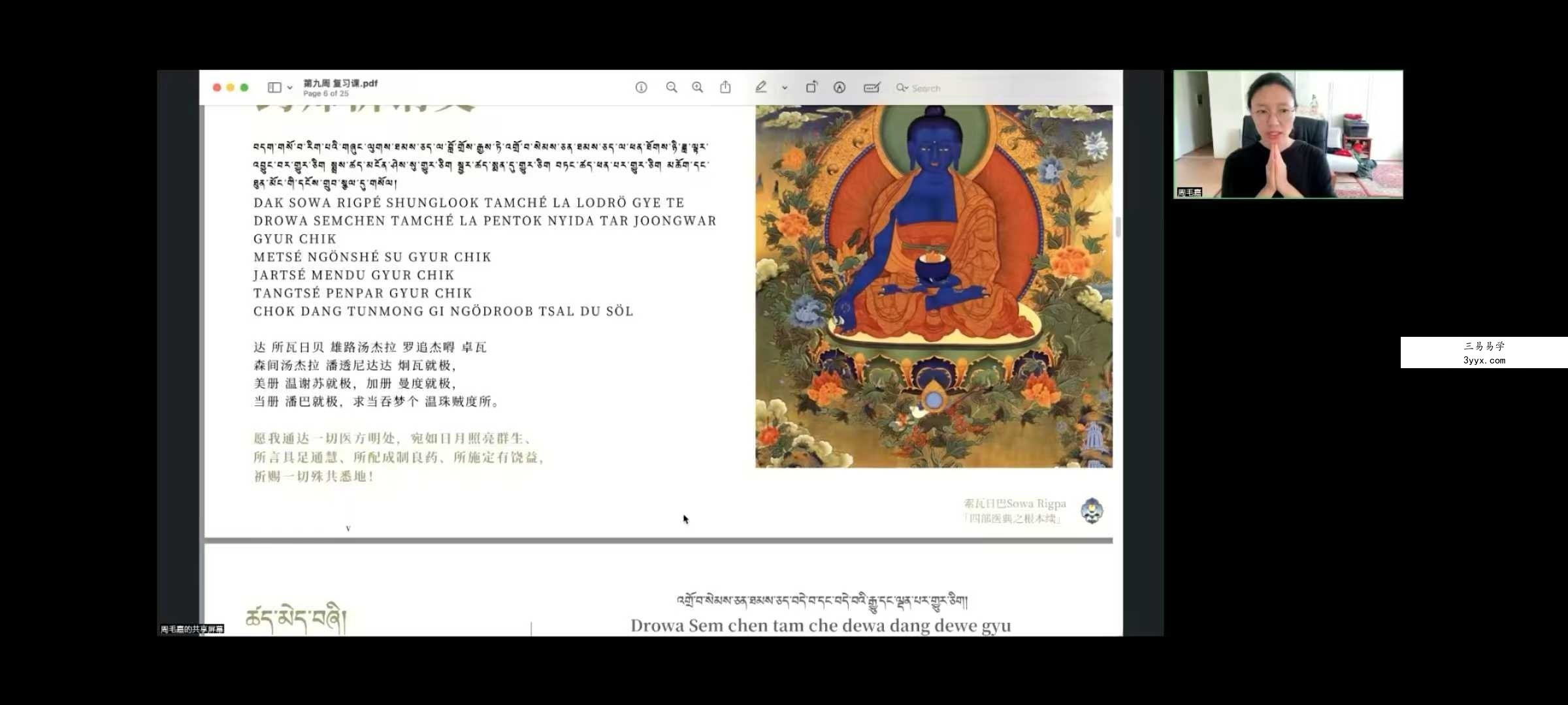 索瓦日巴Sowa Rigpa【藏医能量医学】50集 资料图片