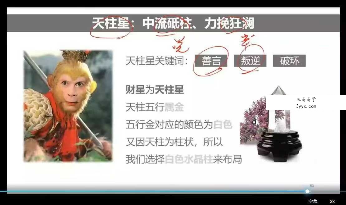2025年 金亮《奇门遁甲流年财局》11集视频 资料图片