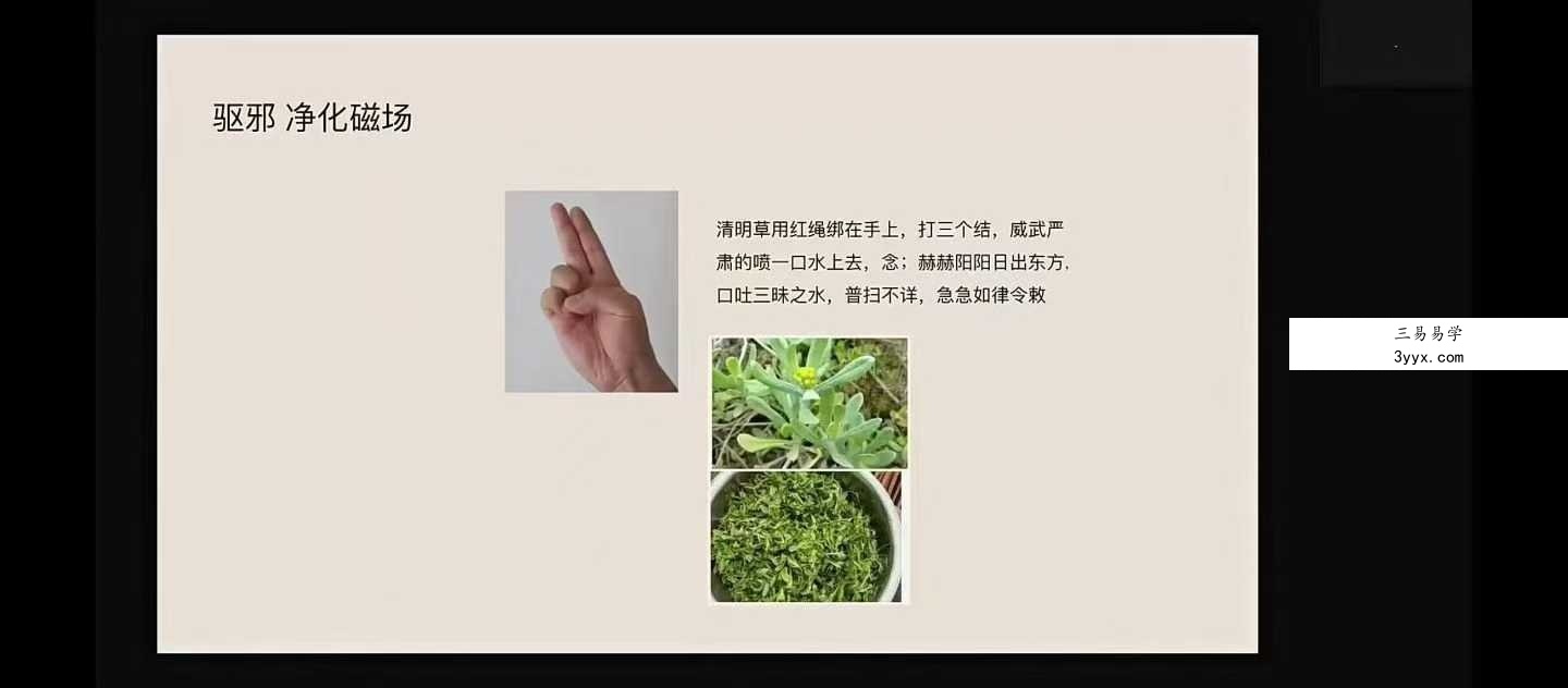 龙龙灵性防护11集视频 资料图片