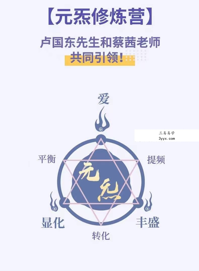 蔡茜&卢国东 元炁修炼营40课 资料图片