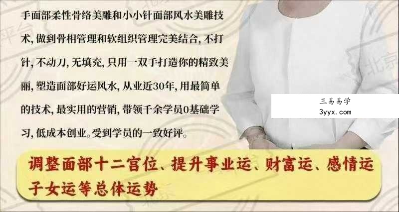 刘梅 2024年12月份《小小针面部风水美雕面授课》38集视频课 资料图片