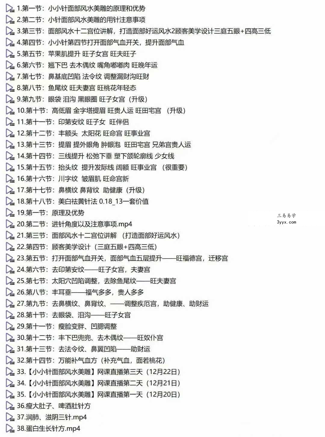 刘梅 2024年12月份《小小针面部风水美雕面授课》38集视频课 资料图片