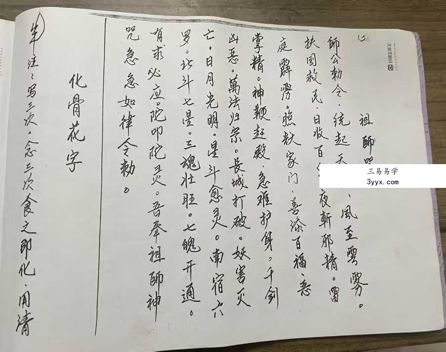 福源堂 孙太祖师教法灵符 段法天大圣教 第一本40页 资料图片