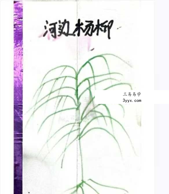 仙娘牌卦术+化解方法引流专用 文档集 资料图片