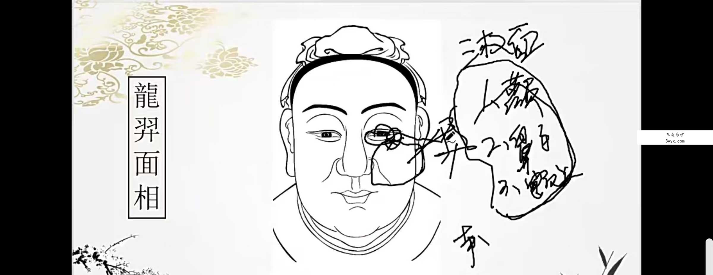 龙羿龍羿面相 面相精英版60集 资料图片
