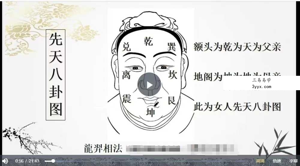 龙羿龍羿面相 面相精英版60集 资料图片