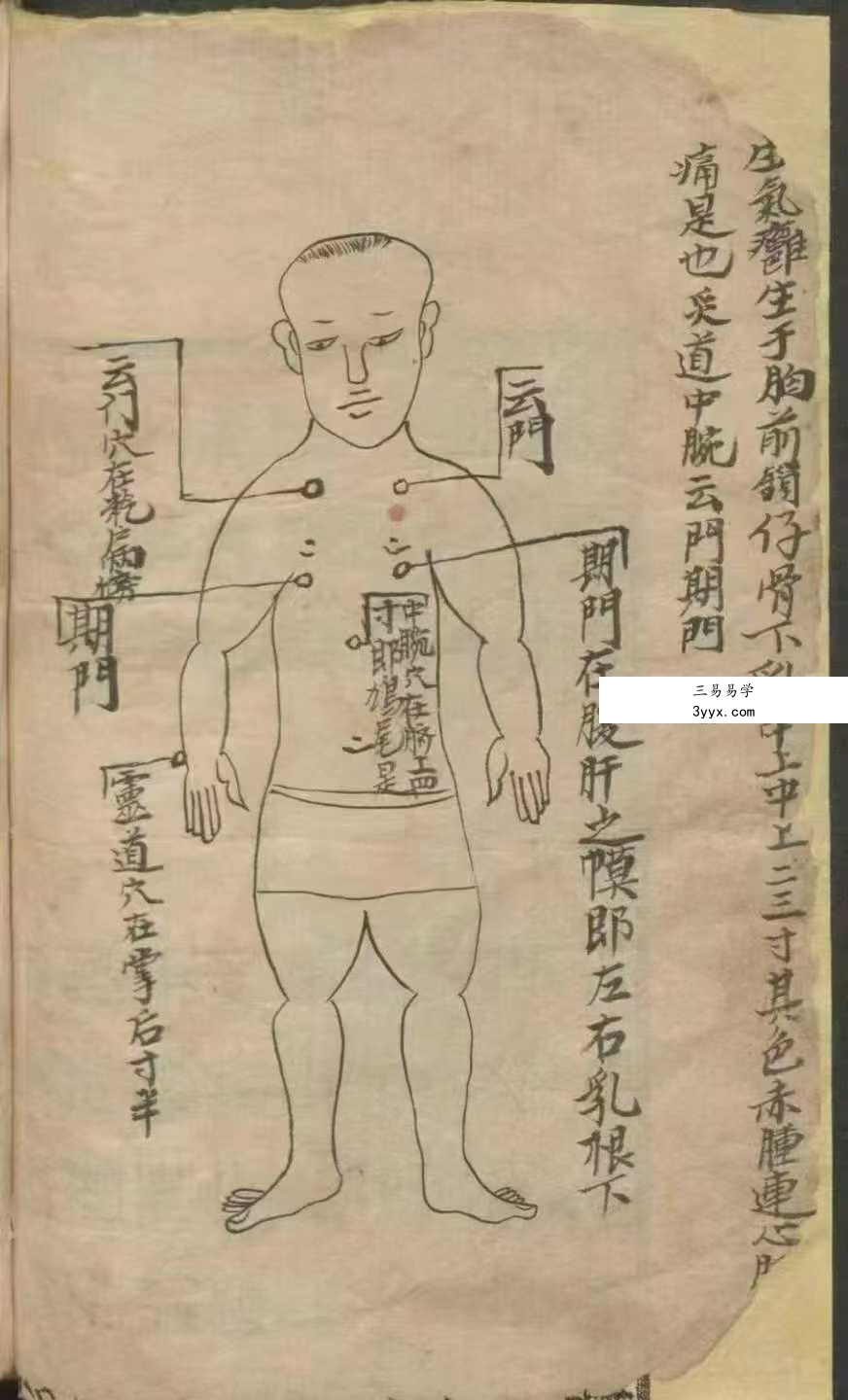 《百症图说》141页 资料图片