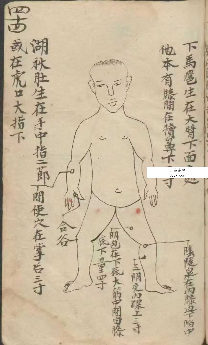 《百症图说》141页 资料图片