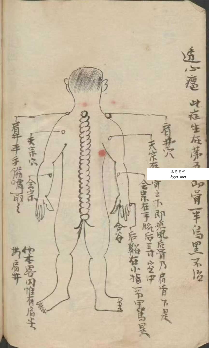《百症图说》141页 资料图片