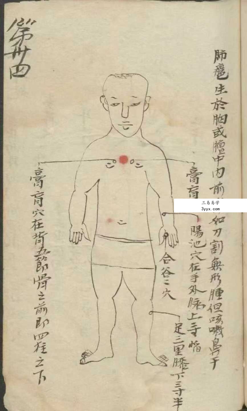 《百症图说》141页 资料图片
