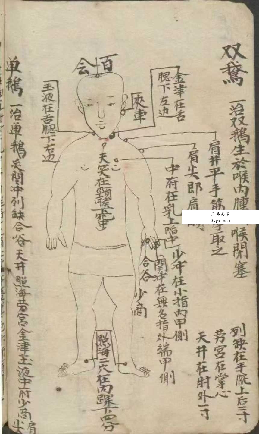 《百症图说》141页 资料图片