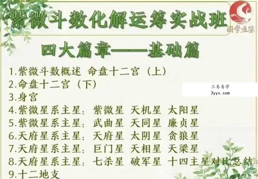 清合老师《紫微斗数化解运筹实战班》全48集+赠送15节公开课 资料图片