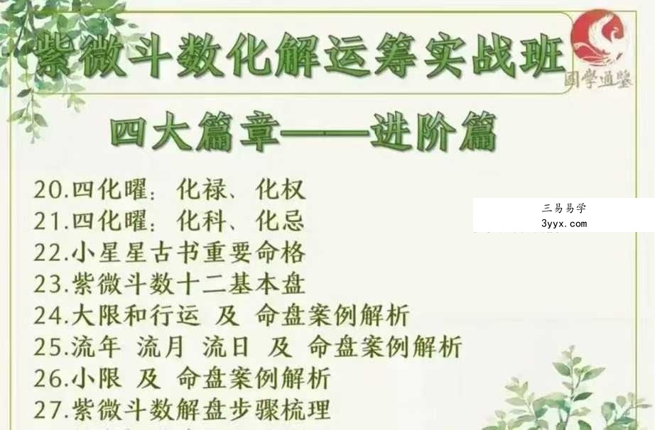 清合老师《紫微斗数化解运筹实战班》全48集+赠送15节公开课 资料图片