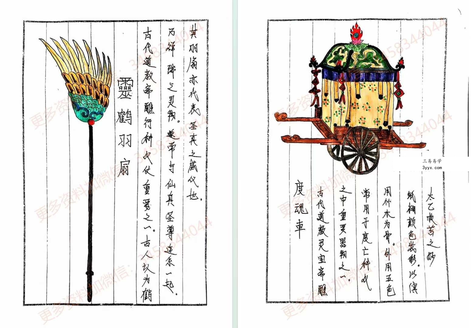 《道长手写笔记》225页 资料图片