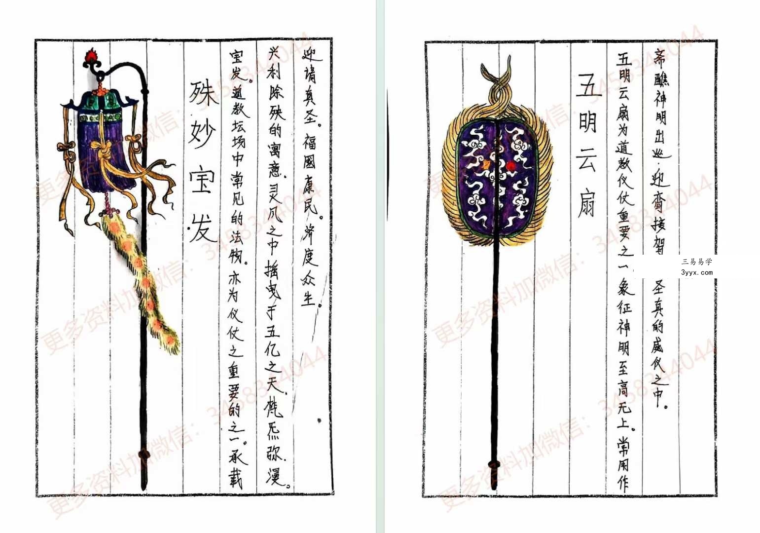 《道长手写笔记》225页 资料图片