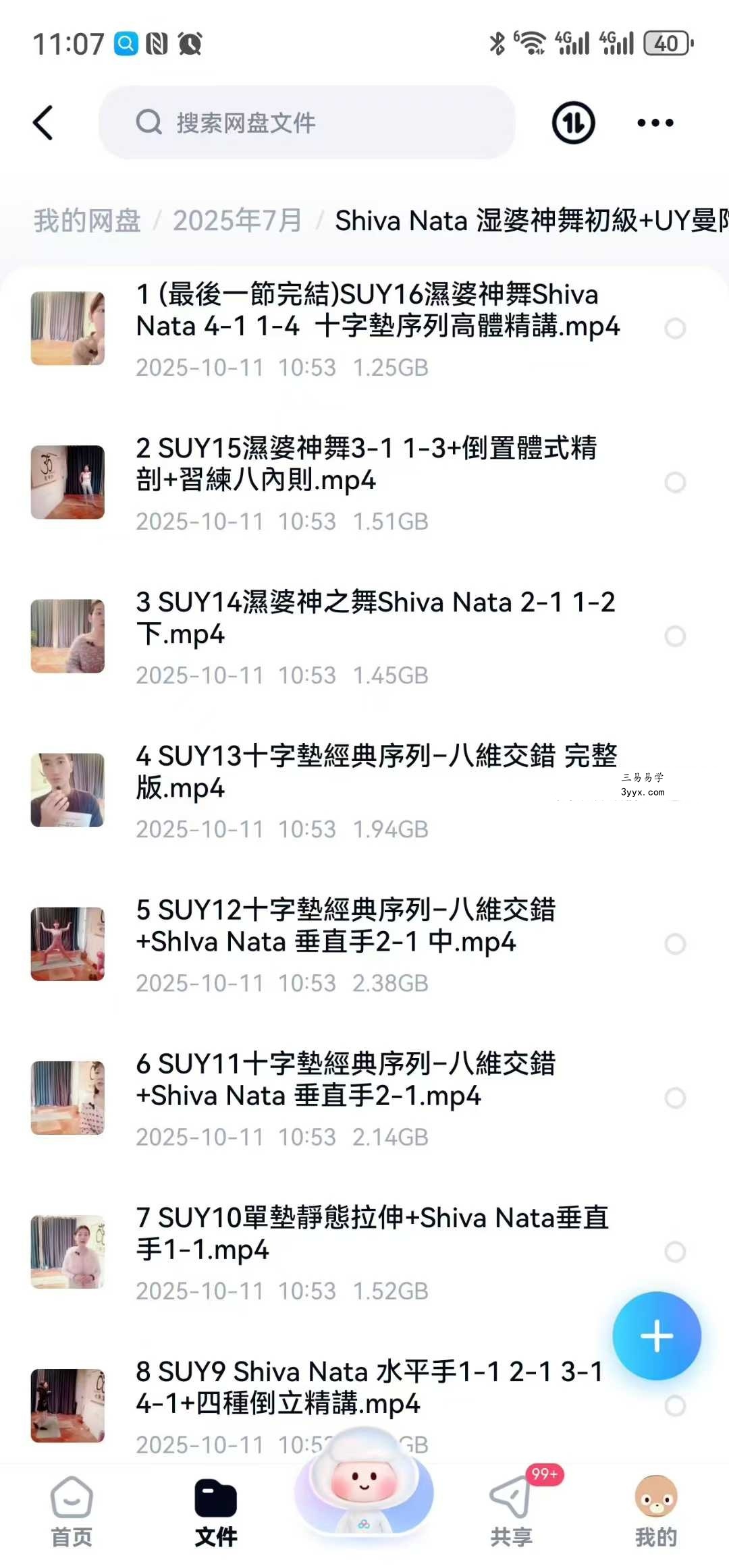 Shiva Nata 湿婆神舞初級+UY曼陀羅十字墊全維度深層全面提升序列&邏輯16集视频课 资料图片
