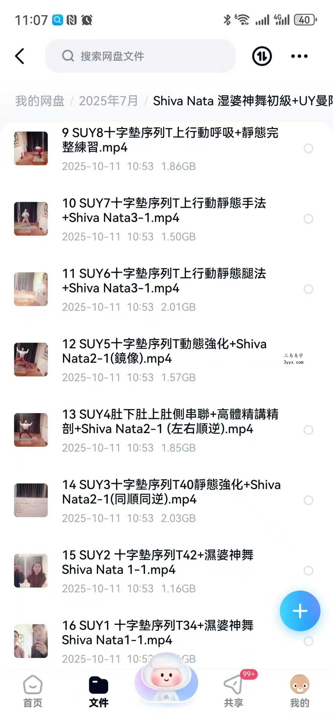Shiva Nata 湿婆神舞初級+UY曼陀羅十字墊全維度深層全面提升序列&邏輯16集视频课 资料图片