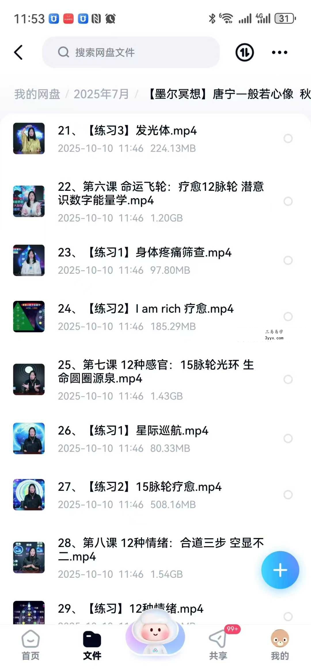 【墨尔冥想】唐宁—般若心像 秋季高阶实修:直播亲领私教29集 资料图片