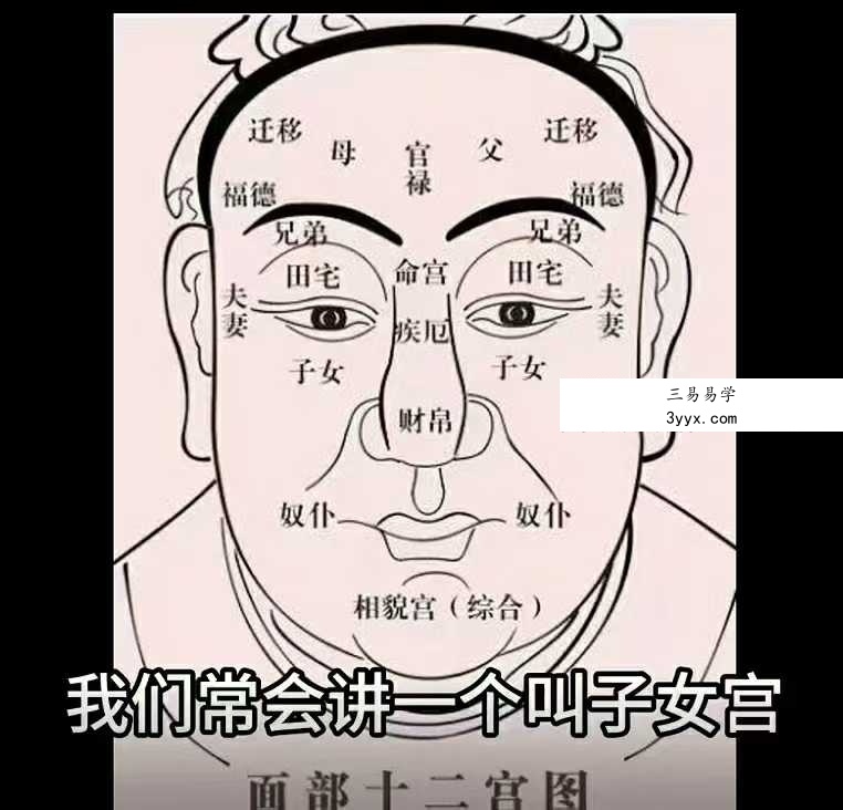 吴明光《面相课》100集视频 资料图片