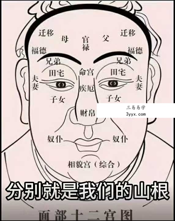 吴明光《面相课》100集视频 资料图片