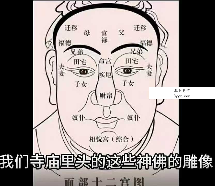 吴明光《面相课》100集视频 资料图片